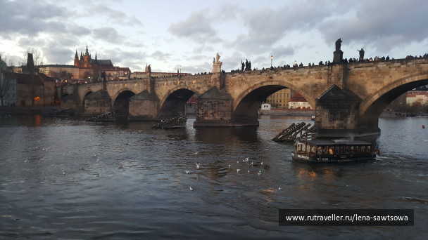 photo 1587503