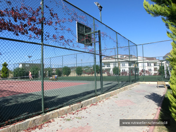 photo 1470924