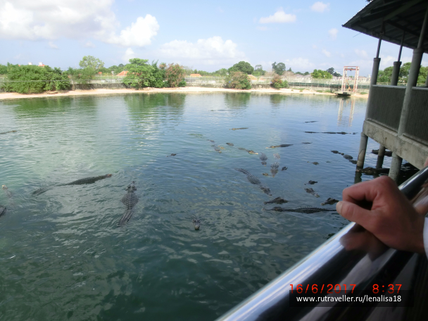 photo 1553154