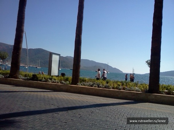 photo 296897