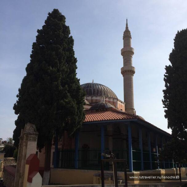 photo 1021372