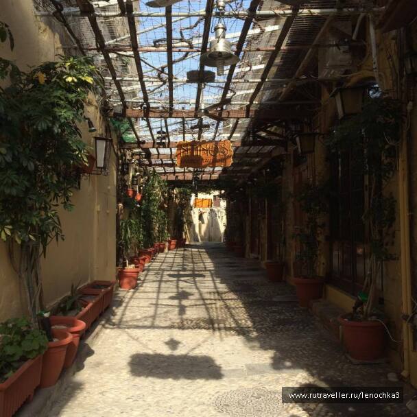 photo 1021373