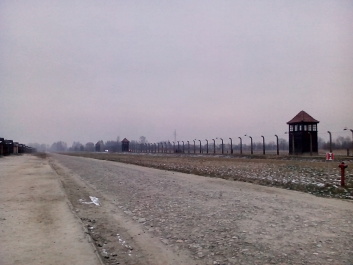 photo 1285648