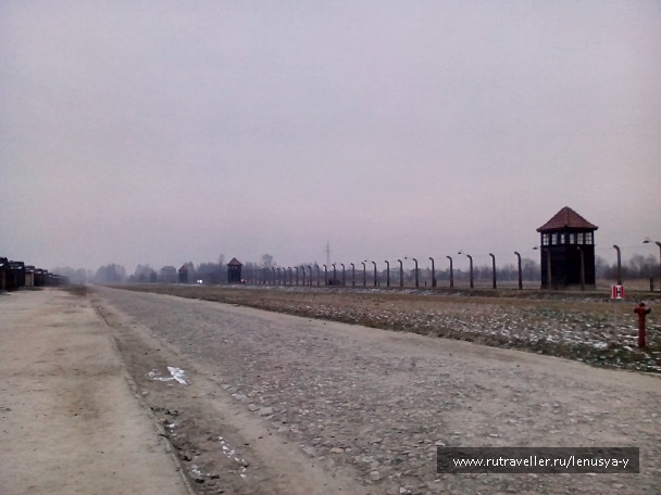 photo 1285648