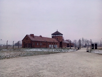 photo 1285649