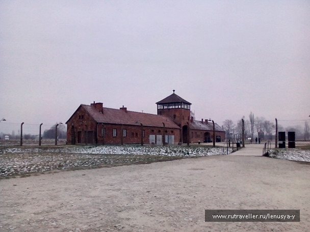 photo 1285649