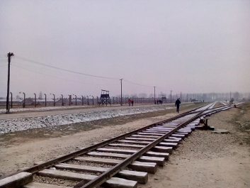 photo 1285650