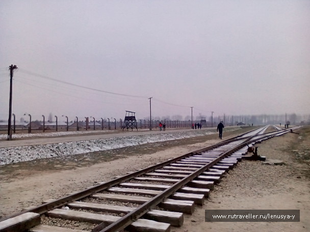 photo 1285650