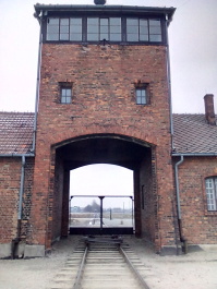 photo 1285651