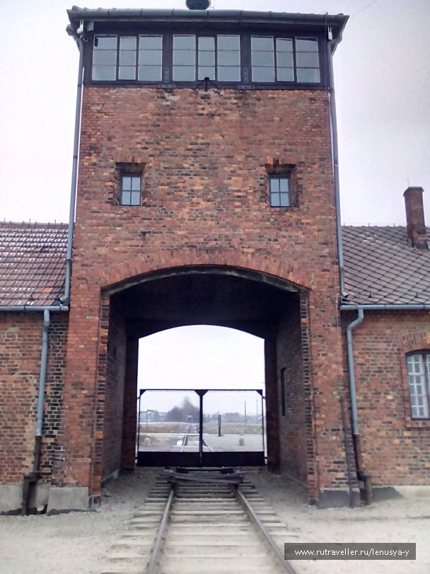 photo 1285651