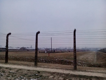 photo 1285652