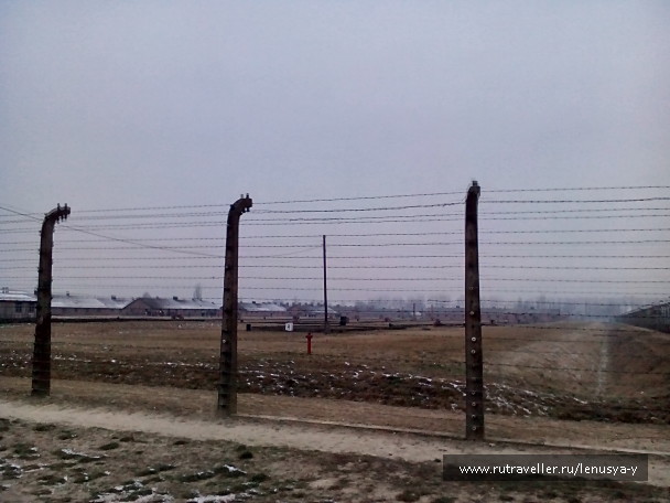 photo 1285652