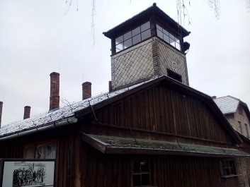 photo 1285654
