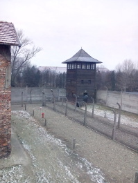 photo 1285657