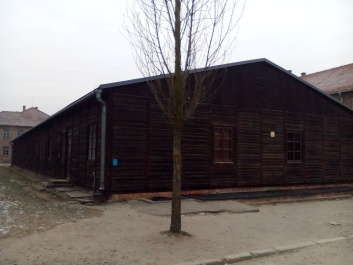 photo 1285658