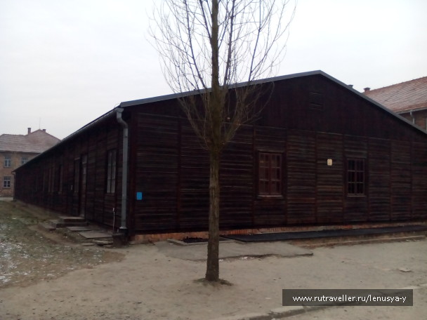 photo 1285658