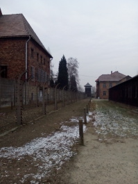 photo 1285659