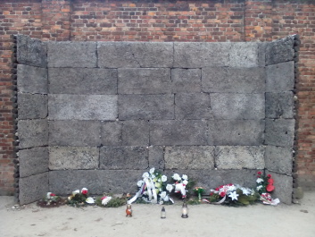 photo 1285660