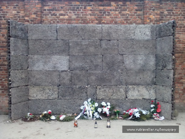 photo 1285660