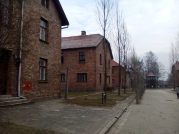 photo 1285664