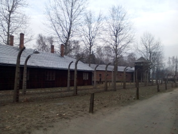 photo 1285665