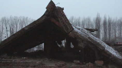 photo 1285666