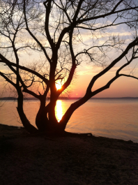 photo 1005978