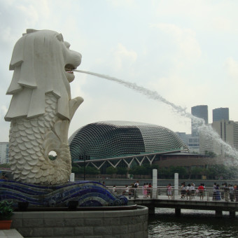 Сингапур 2010
