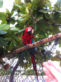 photo 1009415