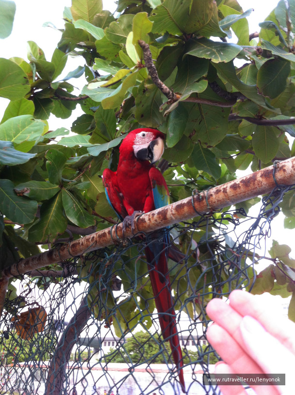 photo 1009415