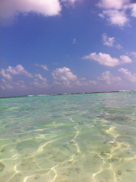 photo 1009417