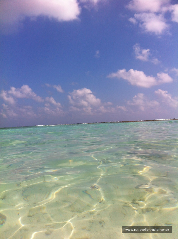 photo 1009417