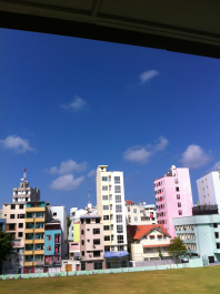 photo 1009418
