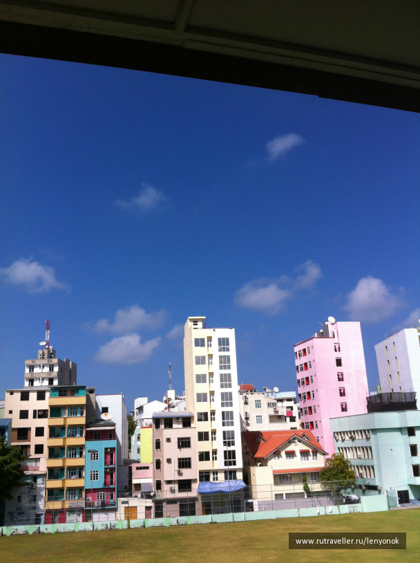 photo 1009418
