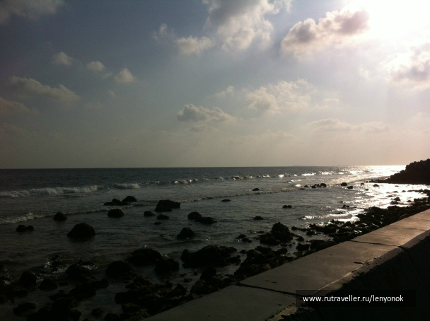 photo 1009420