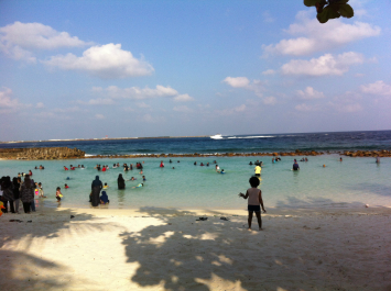 photo 1009423