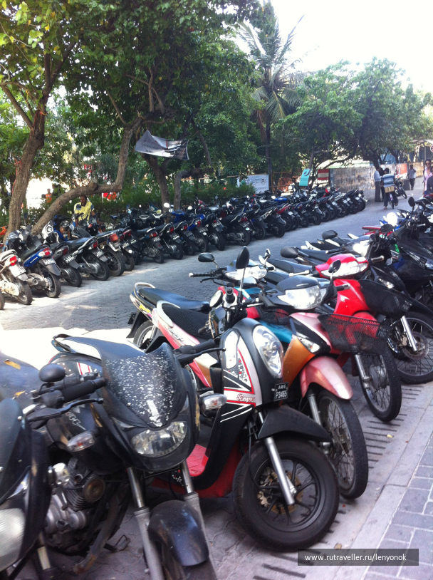 photo 1009424