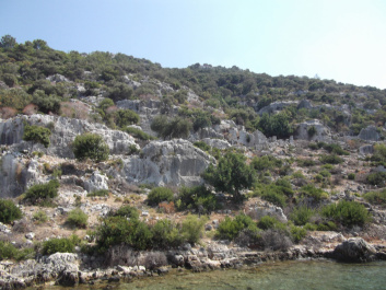 photo 272798