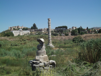 photo 272665