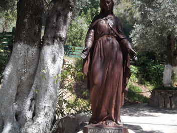 photo 273298