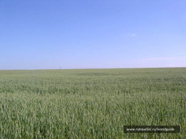 photo 1144594