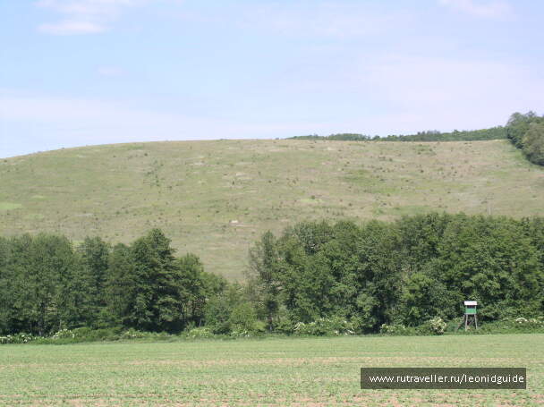 photo 1144596