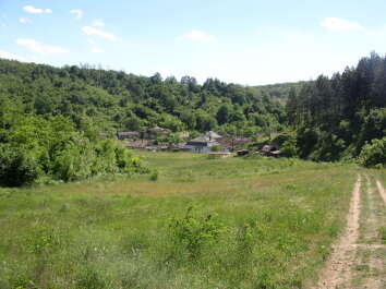 photo 1144604