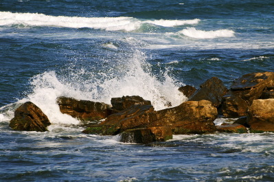 photo 263532