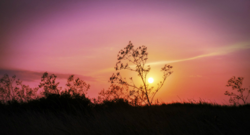 photo 632973