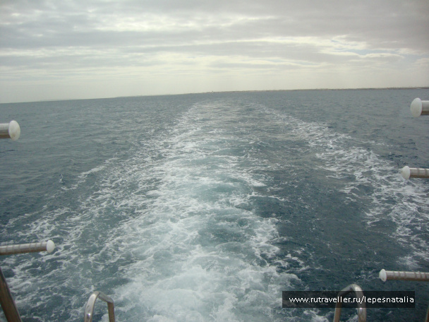 photo 334201