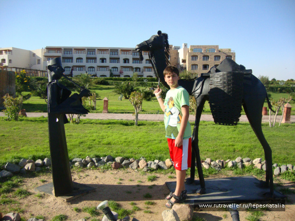 photo 334229