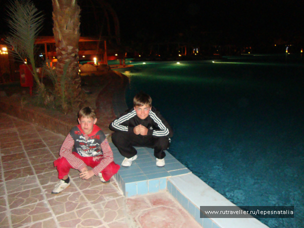 photo 334255