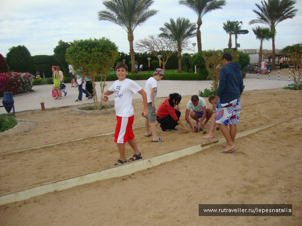 photo 334263