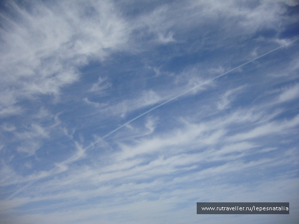 photo 334270